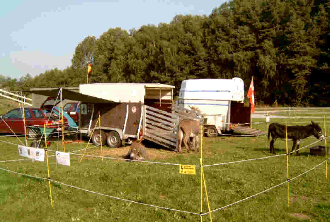 Eseltreffen GT 2005