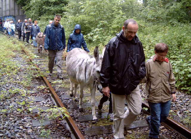 5.  Eselwanderung ber das Phoenixgelnde in Dortmund Hrde vom 4. bis 6. Juni 2004