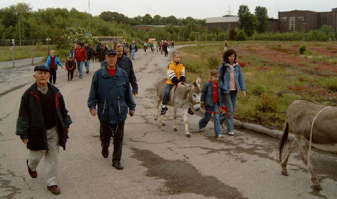 5.  Eselwanderung ber das Phoenixgelnde in Dortmund Hrde vom 4. bis 6. Juni 2004